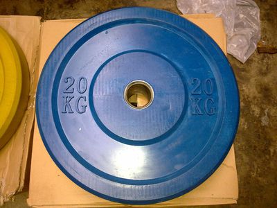 bumperplate20kg.jpg